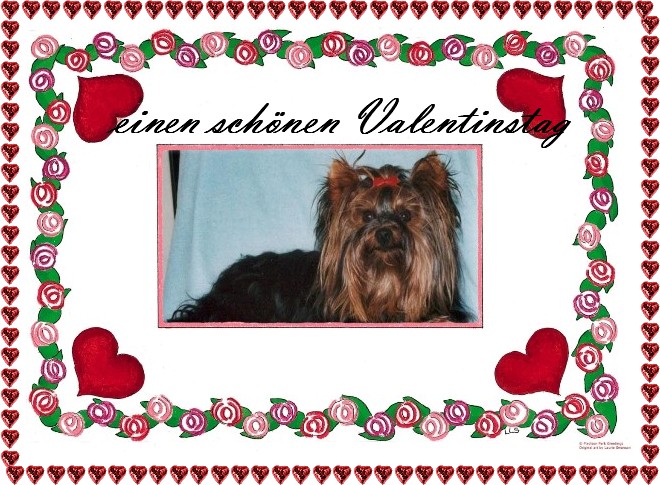 An den Beitrag angehängtes Bild: http://www.yorkshireterrier-vom-kleinen-freund.de/willi-valentin-09.jpg